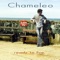 Chameleon - Chameleo lyrics
