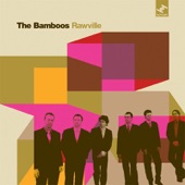 The Bamboos - I Don't Wanna Stop