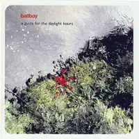 A Europewide Search for Love — Ballboy