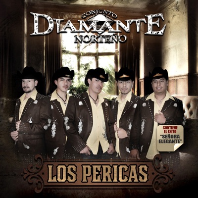 Conjunto Diamante Norteno - El Corrido Del Capo