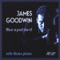 Deep Feeling Blues - James Goodwin lyrics