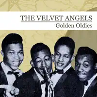 I'm In Love — The Velvet Angels