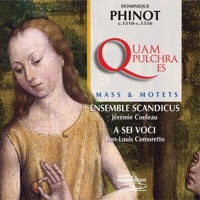Dominique Phinot : Messe quam pulchra es & Motets - Ensemble Scandicus, Jérémie Couleau, A Sei Voci & Jean Louis Comoretto