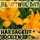 Hardage - Beautiful Day (Original) [feat. Jocelyn Brown]
