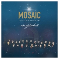 Mosaic - Her Kommer Dine Arme Små