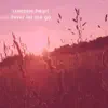 Summer Heart - Please Stay