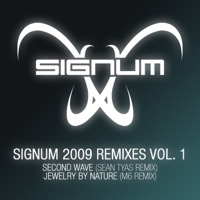 Signum 2009 Remixes, Vol. 1 - EP - Signum