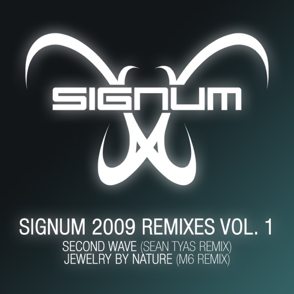 Signum 2009 Remixes, Vol. 1 - EP