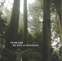 I'm Not a Gun - Ripples In the Water