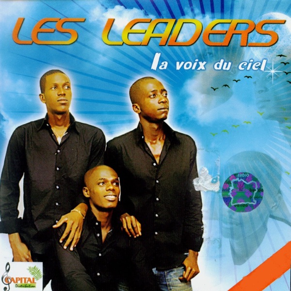 La voie du ciel artwork