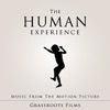 The Human Experience