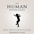 The Human Experience