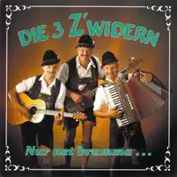 Da Lehrer, da Pfarrer und da Wirt — 3 Zwidern