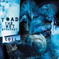 Coil - Toad the Wet Sprocket