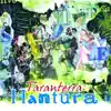 Taranterra