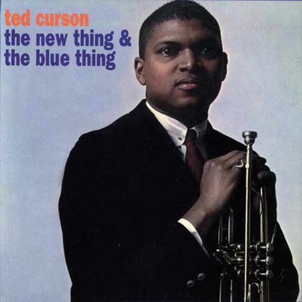 The New Thing & the Blue Thing album cover
