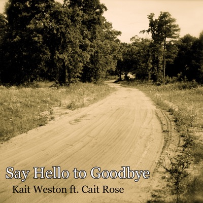 Say Hello To Goodbye ft. Cait Rose - Single