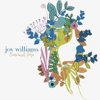 Charmed Life (Bronleewe & Bose Mix) by Joy Williams song reviws