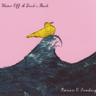 Water Off a Duck's Back