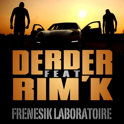 Frenesik laboratoire (feat. Rim'K) - Single