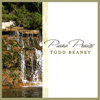 Pass It On - Todd Beaney new Song
