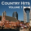 Country Hits (Volume 1)