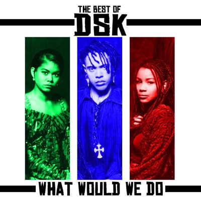 The Best of DSK - What Would We Do