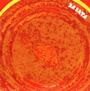 Songs From The Tin - Da Lata