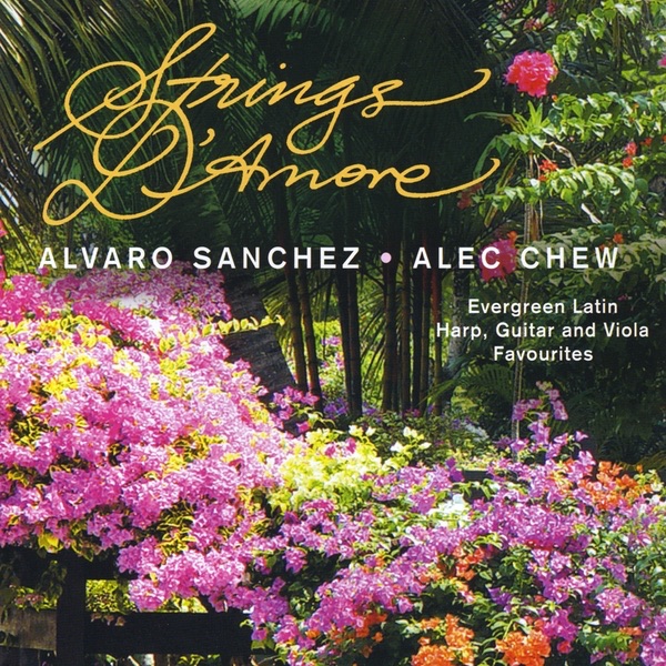 Strings D'Amore