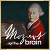 Nobuko Imai & Ronald Brautigam - String Quintet No. 2 in C Major, K. 515: II. Andante