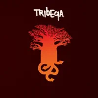 Up & Down — Tribeqa
