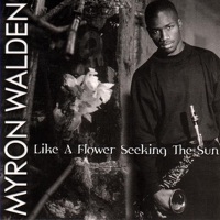 Like a Flower Seeking the Sun - Myron Walden