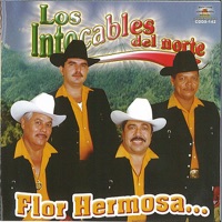 Flor Hermosa - Los Intocables del Norte