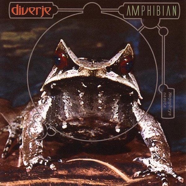 Amphibian
