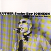 Get Down to the Nitty Gritty - Luther Snakeboy Johnson