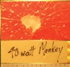 40 Watt Monkey