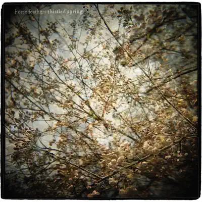 Listen to Thistled Spring by Horse Feathers