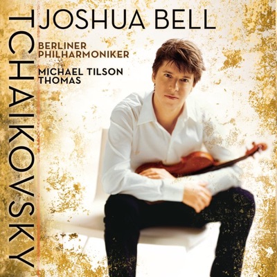 Concerto in D Major for Violin and Orchestra, Op. 35: III. Finale. Allegro vivacissimo artwork