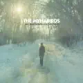 All I Want is Truth (for Christmas)