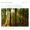 Ryan Tilby - Come Thou Fount