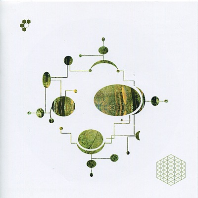 Plant Cell Perceptions