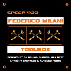 Toolbox (Max Bett Remix) Federico Milani & Max Bett