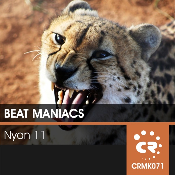 Nyan 11 - Single