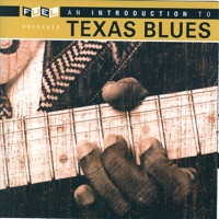 An Introduction to Texas Blues - Various Artists