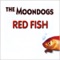 How Can I Tell Her - The MoonDogs lyrics