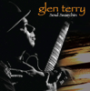 Soul Searchin - Glen Terry