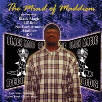The Mind of Maddism - Maddism