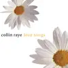 Collin Raye - I Volunteer