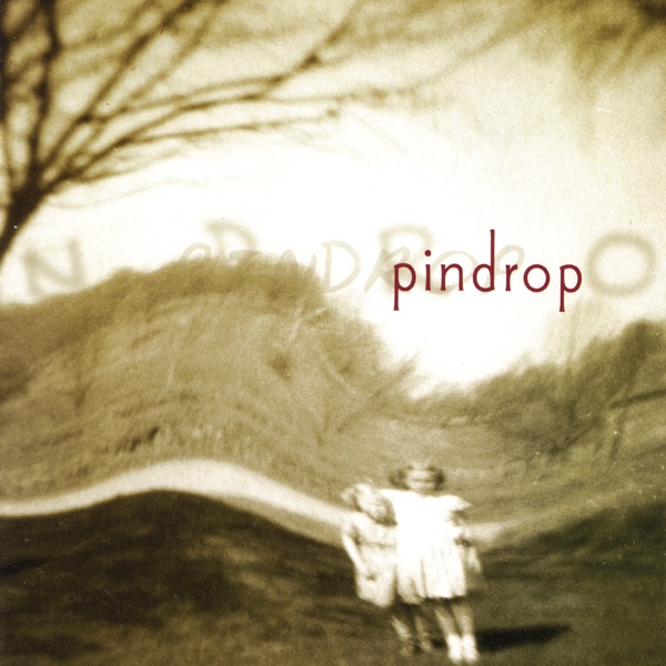 pin drop artwork