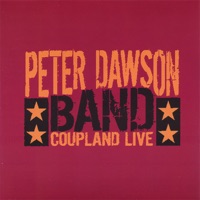 Willie Nelson For President